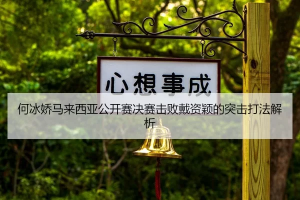 he-bing-jiao-ma-lai-xi-ya-gong-kai-sai-jue-sai-ji-bai-dai-zi-ying-de-tu-ji-da-fa-jie-xi-2-683.jpg